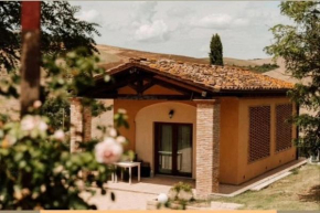 Agriturismo Podere Campaini